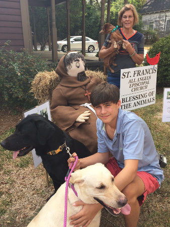 dogs with St. Francis